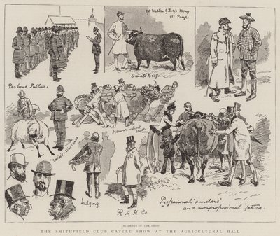 Smithfield Club Cattle Show på Agricultural Hall av Alfred Chantrey Corbould