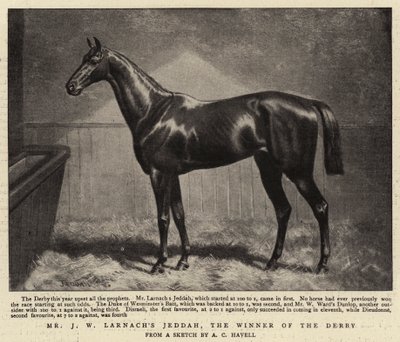 Mr J W Larnachs Jeddah, vinnaren av Derbyt av Alfred Charles Havell