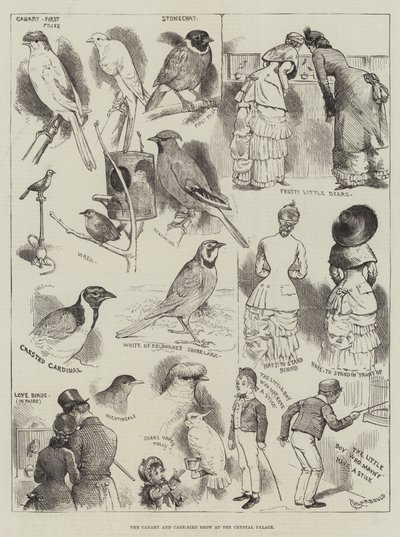Canary och Cage-Bird Show på Crystal Palace av Alfred Courbould