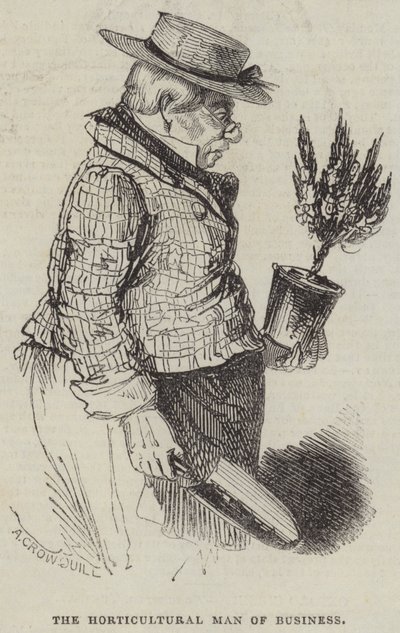 Näringslivets trädgårdsman av Alfred Crowquill