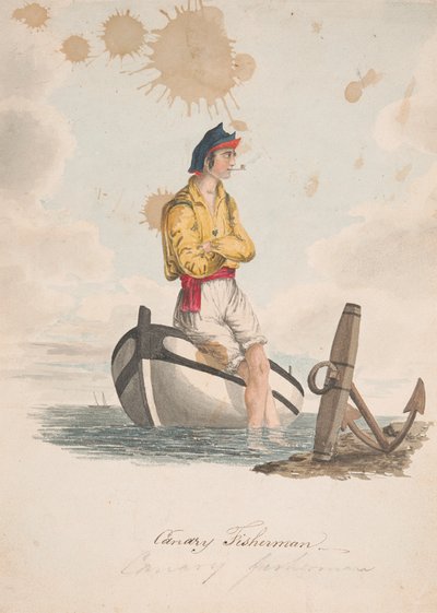 Kanariefiskare av Alfred Diston