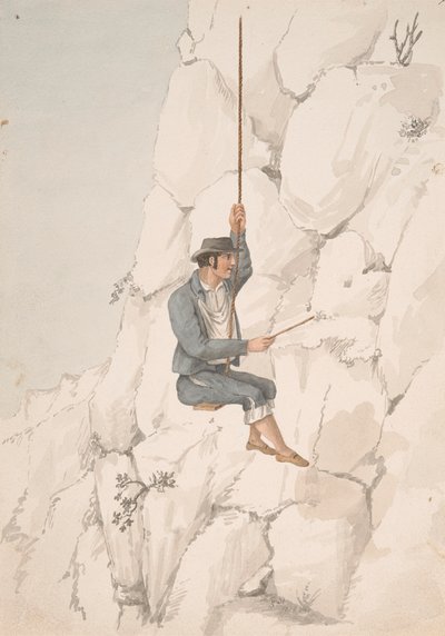 Gomero, Orchilla-samlare av Alfred Diston