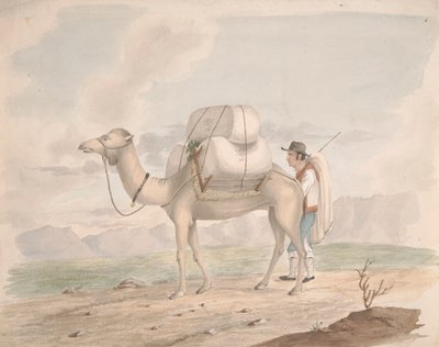 Laddad kamel av Alfred Diston