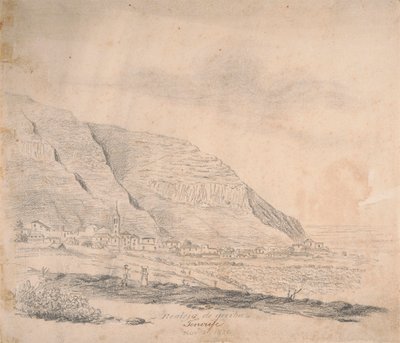 Realejo från ovan, Teneriffa av Alfred Diston