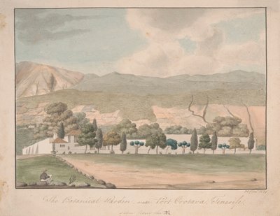 Botaniska trädgården nära Port Orotava, Teneriffa av Alfred Diston