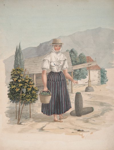 Kvinna från El Miradero, Teneriffa av Alfred Diston
