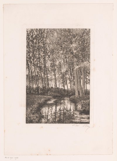 Höga träd vid vattnet av Alfred Elsen (signed by artist)