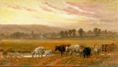 Solnedgång nära Amberley (olja på duk) av Alfred Fitzwalter Grace