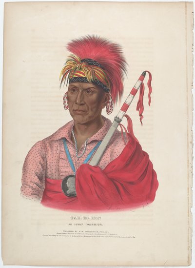 swedish av Alfred Hoffy, after Charles Bird King