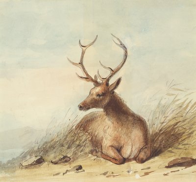 Älg, Klippiga bergen, ca 1837 (penna, penna och bläck och akvarell på papper) av Alfred Jacob Miller