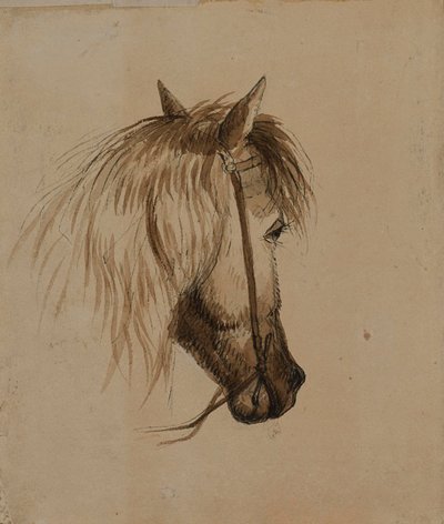 Hästhuvud av Alfred Jacob Miller