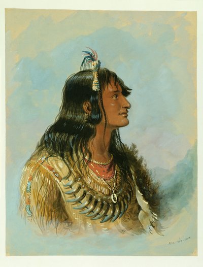  av Alfred Jacob Miller