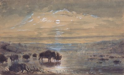 Nattscen, Buffaloes on the Prairie, ca 1837 (akvarell på papper) av Alfred Jacob Miller