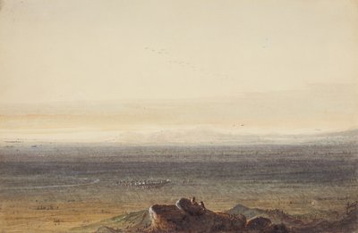 Prairie, c.1837 (penna, akvarell och gouache på papper) av Alfred Jacob Miller