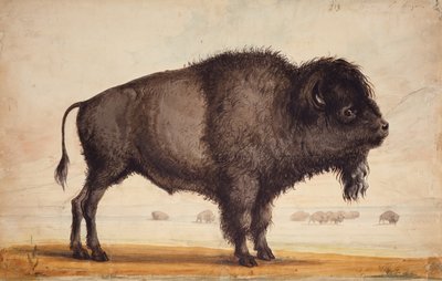Scenting the Breeze, ca 1837 (akvarell på papper) av Alfred Jacob Miller