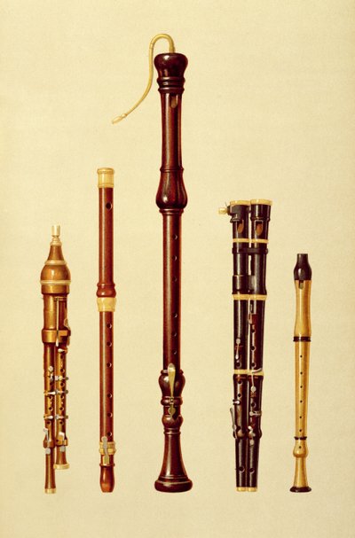 En dubbel flageolet, en tysk flöjt, en basblockflöjt, en dubbel flageolet och en blockflöjt, från "Musical Instruments" (färgad litografi). av Alfred James Hipkins