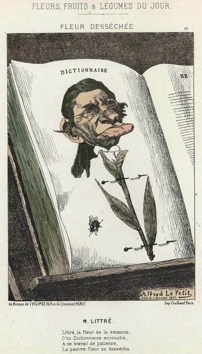 Déséchée flower: tecknad film på Littré - ill. från 1871-02-01 i "Dagens blommor, frukter och grönsaker" av Alfred Le Petit