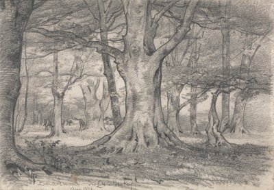 Ett skogslandskap nära Boldrewood av Alfred Parsons