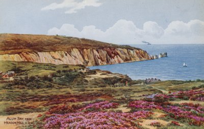 Alum Bay, från Headon Hill, IOW av Alfred Robert Quinton
