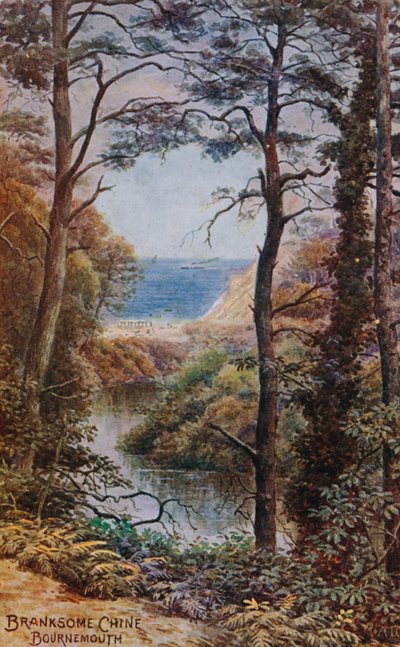 Branksome Chine, Bournemouth av Alfred Robert Quinton