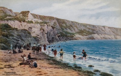 Folkestone, The Warren Beach av Alfred Robert Quinton