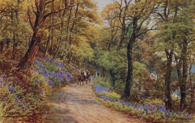 Hobby Drive, Clovelly (litho i färg) av Alfred Robert Quinton