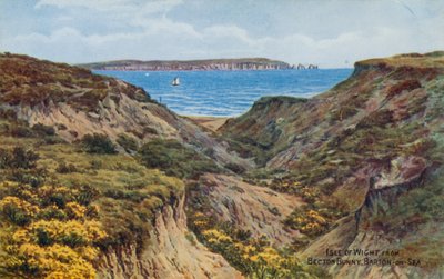 Isle of Wight, från Becton Bunny, Barton-on-Sea (färglitografi) av Alfred Robert Quinton