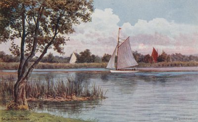 Salhouse Broad av Alfred Robert Quinton