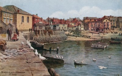 Måsar i hamnen, St Ives, Cornwall av Alfred Robert Quinton