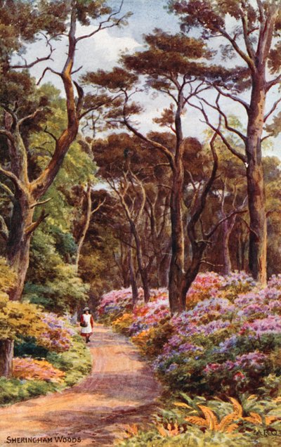 Sheringham Woods av Alfred Robert Quinton