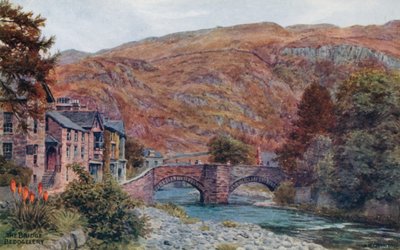Bron, Beddgelert av Alfred Robert Quinton
