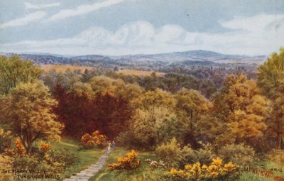 The Happy Valley, Tunbridge Wells av Alfred Robert Quinton