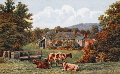 Den gamla kvarnen, Lyme Regis av Alfred Robert Quinton