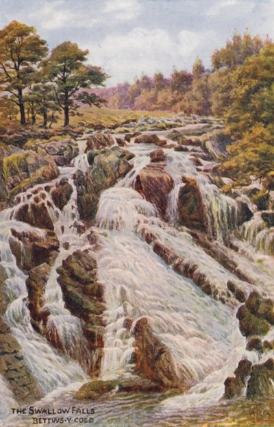 The Swallow Falls, Bettws-Y-Coed (färglitografi) av Alfred Robert Quinton