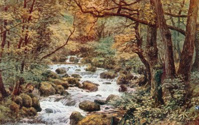 Torrent Walk, Dolgelley av Alfred Robert Quinton