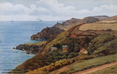 Woody Bay, från Martinhoe Common av Alfred Robert Quinton