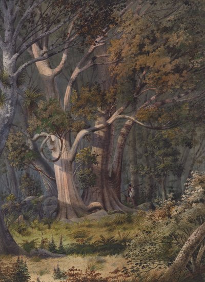 Hone Hekes begravningsplats, Bay of Islands av Alfred Sharpe