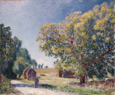 En glänta i en skog, 1895 av Alfred Sisley