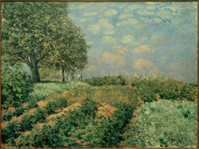 Fälten av Alfred Sisley