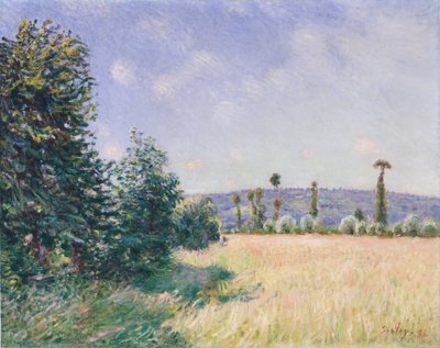 Sahurs Meadows in Morning Sun, 1894. av Alfred Sisley