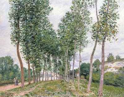 Avenyn av poppel längs stranden av Loing av Alfred Sisley