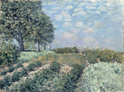 Saluträdgårdarna av Alfred Sisley