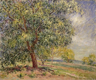 Valnötsträd på Sablons på våren; Valnötsträd vid Sablons, våren, 1885 av Alfred Sisley