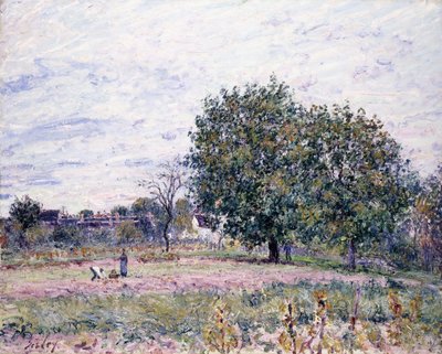 Valnötsträd, effekten av den nedgående solen - första dagen i oktober 1882 av Alfred Sisley