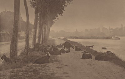 En dekorativ panel av Alfred Stieglitz