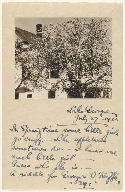 [Apple Blossoms] av Alfred Stieglitz