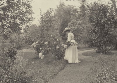 På Oaklawn av Alfred Stieglitz
