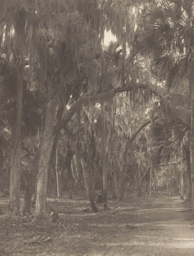 I Rockledge, Florida av Alfred Stieglitz