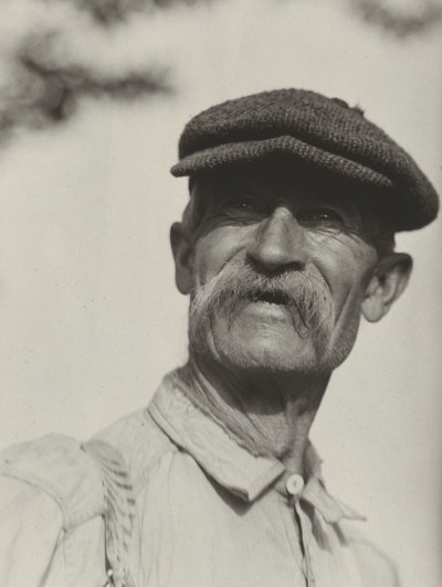 Bly av Alfred Stieglitz
