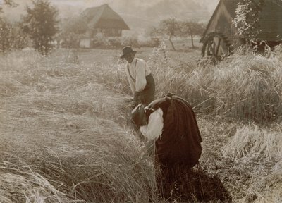 Tidigt på morgonen av Alfred Stieglitz